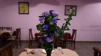 Nature Bloom Dharamshala Hotel and Resort