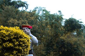 Nature Bloom Dharamshala Hotel and Resort