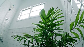 Okinawan. Sweet Home.T-8