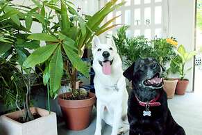 Okinawan. Sweet Home.T-8