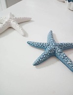 La Conchiglia Monopoli