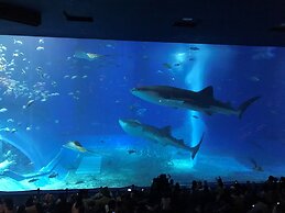 Hostel Mosura No Tamago