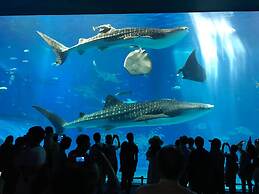 Hostel Mosura No Tamago