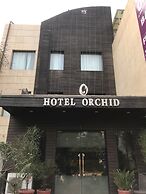 Hotel Orchid