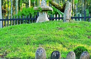 Syuan Ding Ben Er Gu