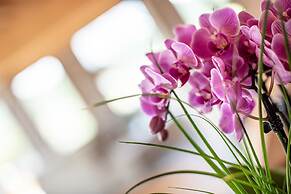 Gotthard - Fine Living Apartments