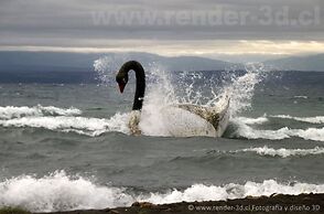 Cabañas Paralelos del Sur