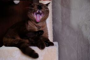 Baan Lung Poshtel - Hostel