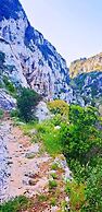 Castle XVIII