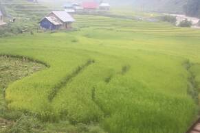 H'mong Home Mountain View