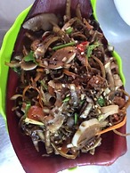 H'mong Home Mountain View