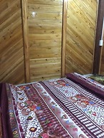 H'mong Home Mountain View