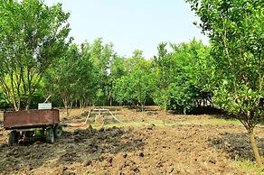 Tigers Heaven Resort