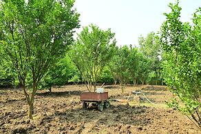 Tigers Heaven Resort