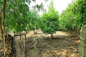 Tigers Heaven Resort