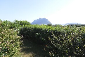 Aria di Vacanza - Corallina