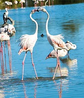 Hôtel Mas le Sauvageon