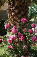 Residence Les Castors