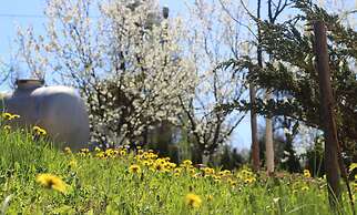 Bergkranc Hotel & Resort