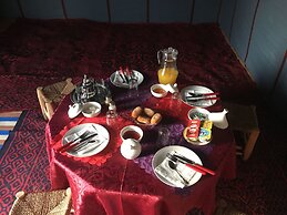 Camp Under Stars - Adults Only