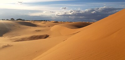 Camp Under Stars - Adults Only