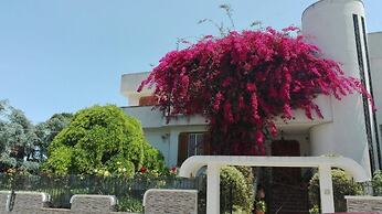 Villa Mary - Apartments