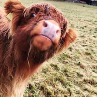 The Old Manse of Blair