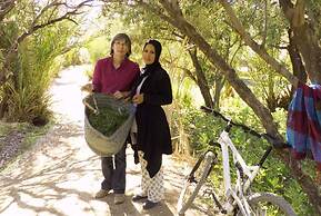 Gîte Migusta Chez Madame Hayate