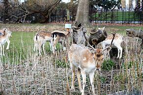 TopHome Stoke Newington