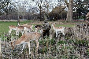 TopHome Stoke Newington