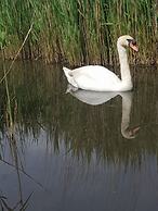 Brunswick Bed & Breakfast