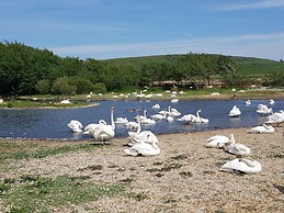 Brunswick Bed & Breakfast