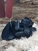 Brunswick Bed & Breakfast