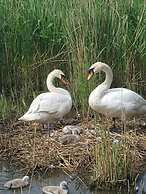 Brunswick Bed & Breakfast