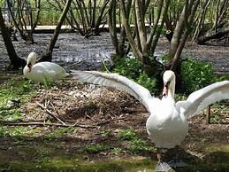 Brunswick Bed & Breakfast