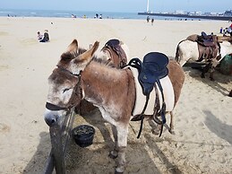 Brunswick Bed & Breakfast