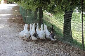 Agriturismo Fratelli Angelucci