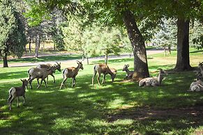 Glen Eyrie Castle & Conference Center A Ministry of the Navigators