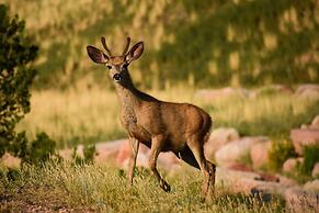 Glen Eyrie Castle & Conference Center A Ministry of the Navigators