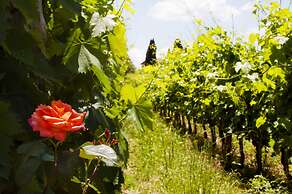 Azienda Agricola di Fietri