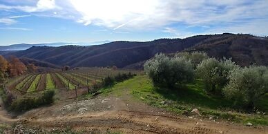 Azienda Agricola di Fietri