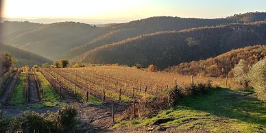 Azienda Agricola di Fietri