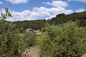 Azienda Agricola di Fietri
