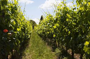 Azienda Agricola di Fietri