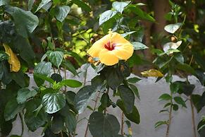 Sea Princess Beach Resort