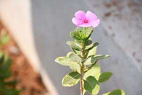 Sea Princess Beach Resort