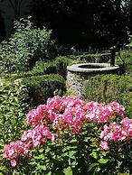 Martina's place