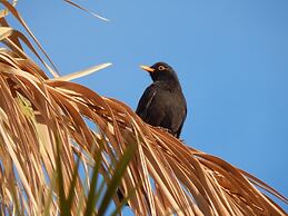 Kasbah du bout du monde