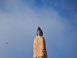 Kasbah du bout du monde