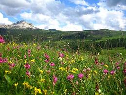 Alpine Hotel Ciasa Lara